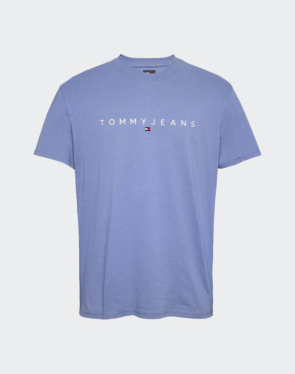 TOMMY JEANS TJM REG LINEAR LOGO TEE EXT