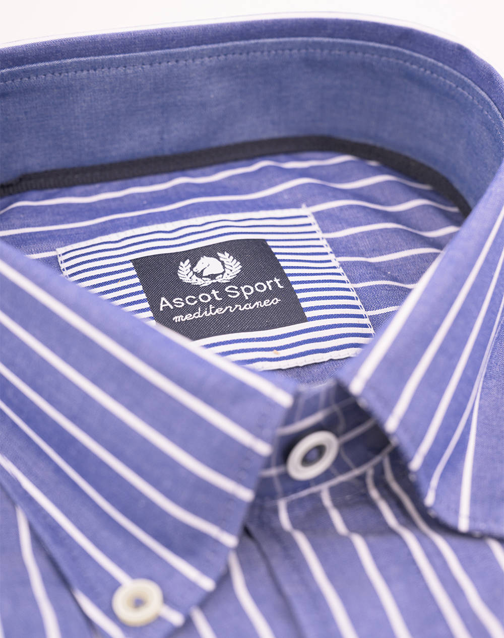 ASCOT CAMASA