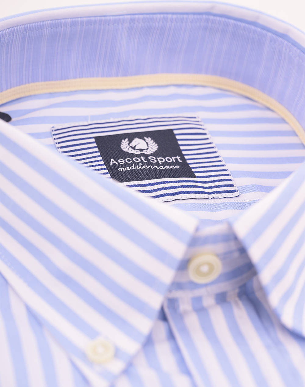 ASCOT CAMASA