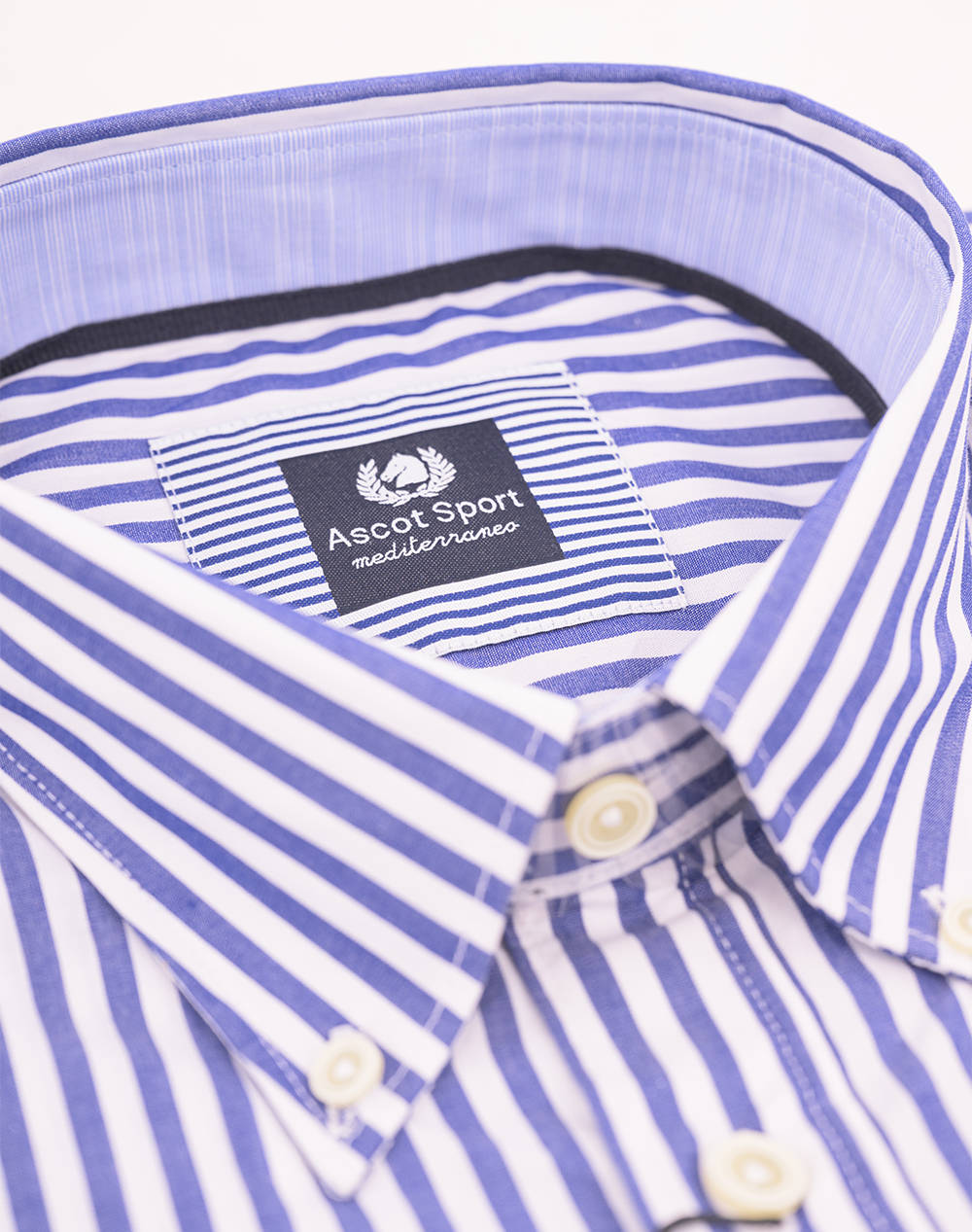 ASCOT CAMASA