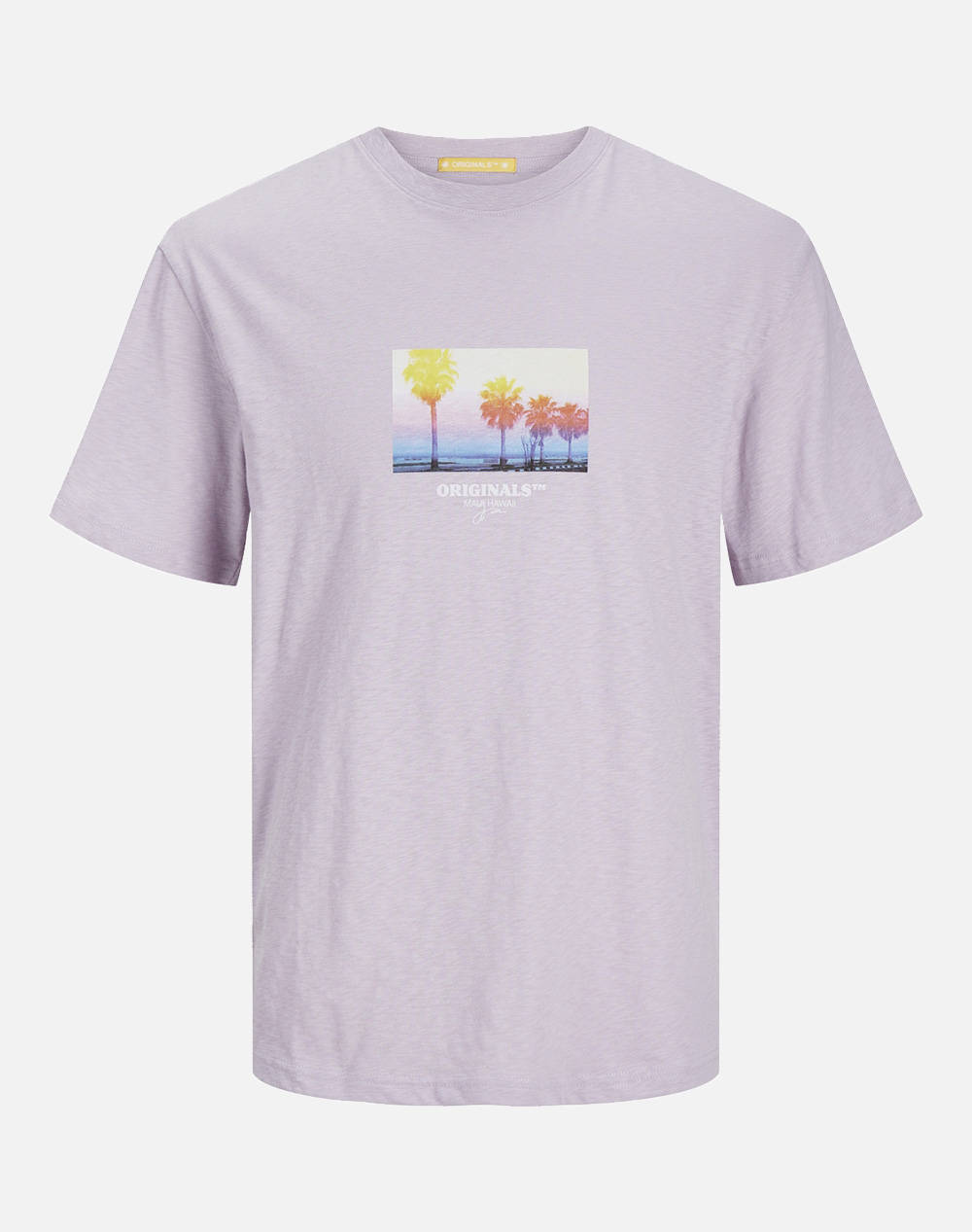Jack&jones joraruba small photo tee ss crew neck