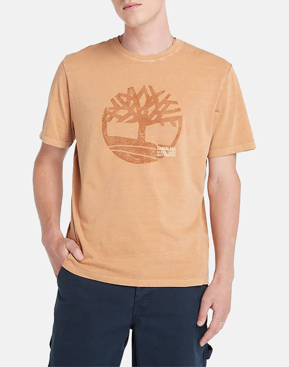 Timberland mrrv garment dye logo graphi