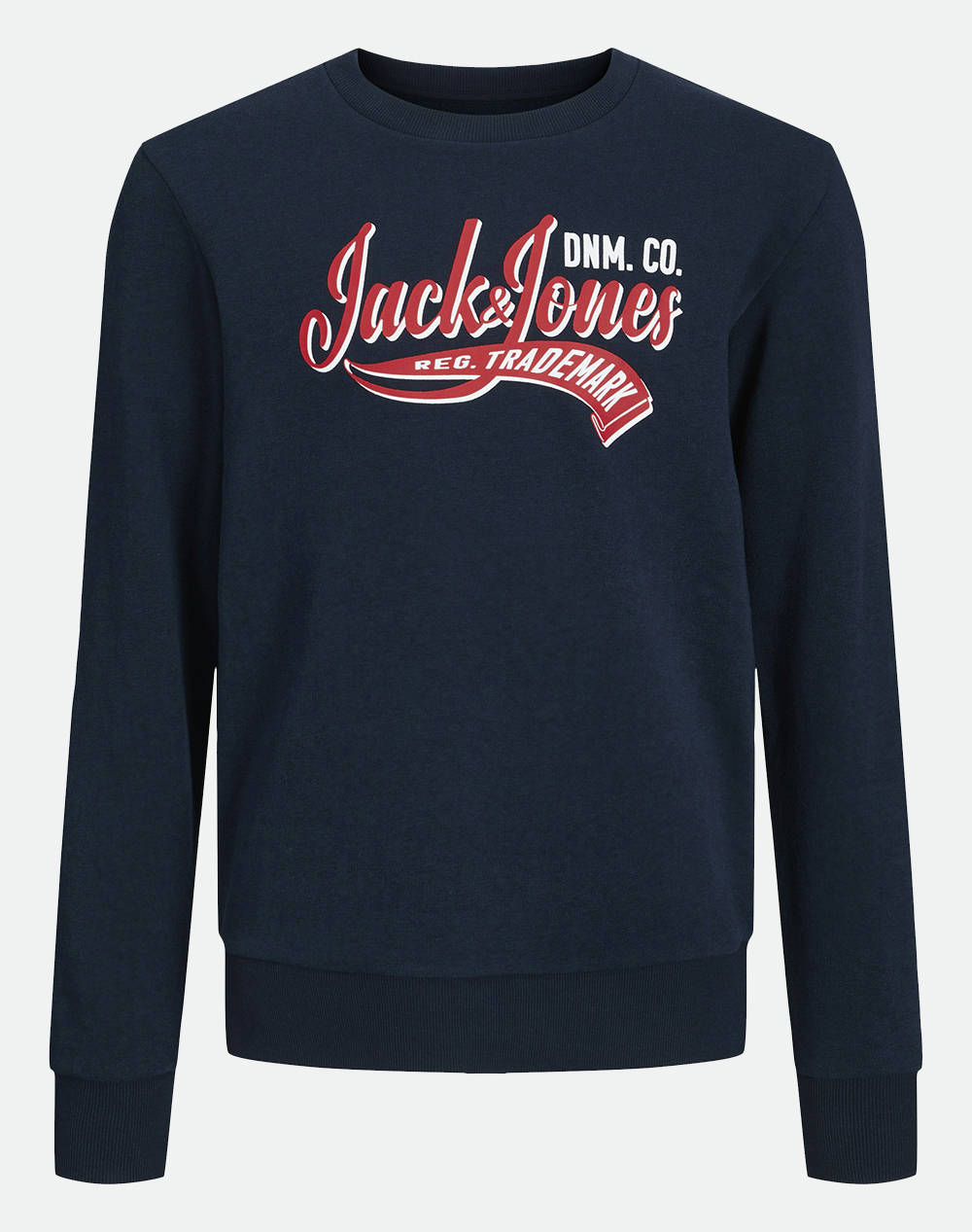 JACK&JONES JJELOGO SWEAT CREW NECK 2 COL SS24 JNR