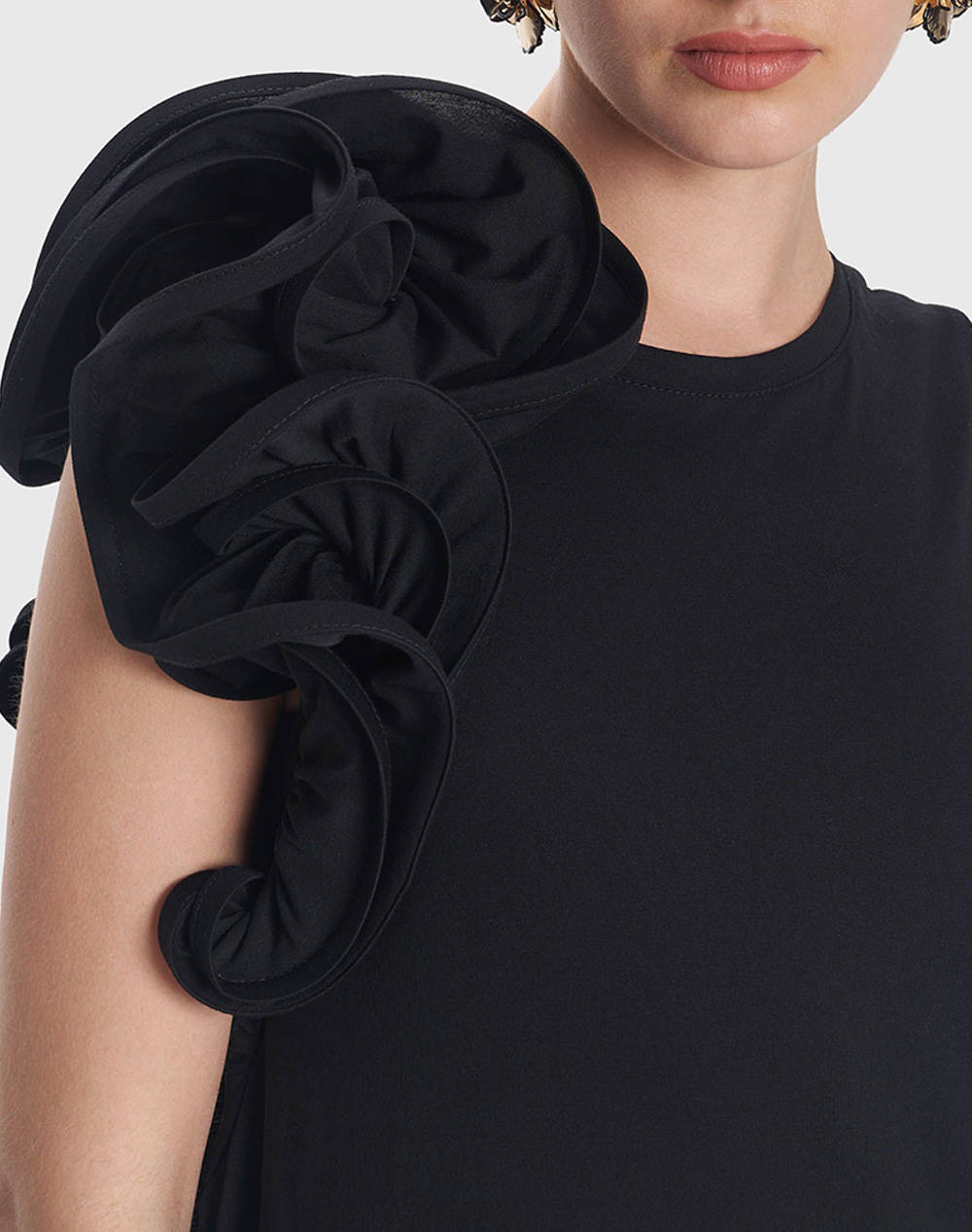 ALE ROCHIE