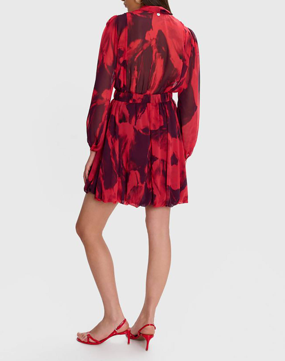 ALE ROCHIE