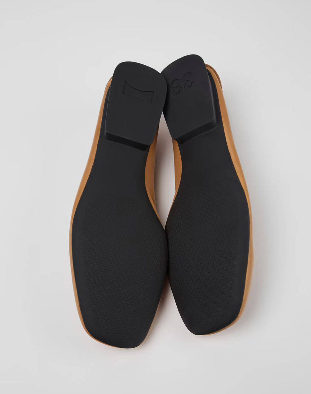 CAMPER Gobi Savi/CasiMyra Ry Negro