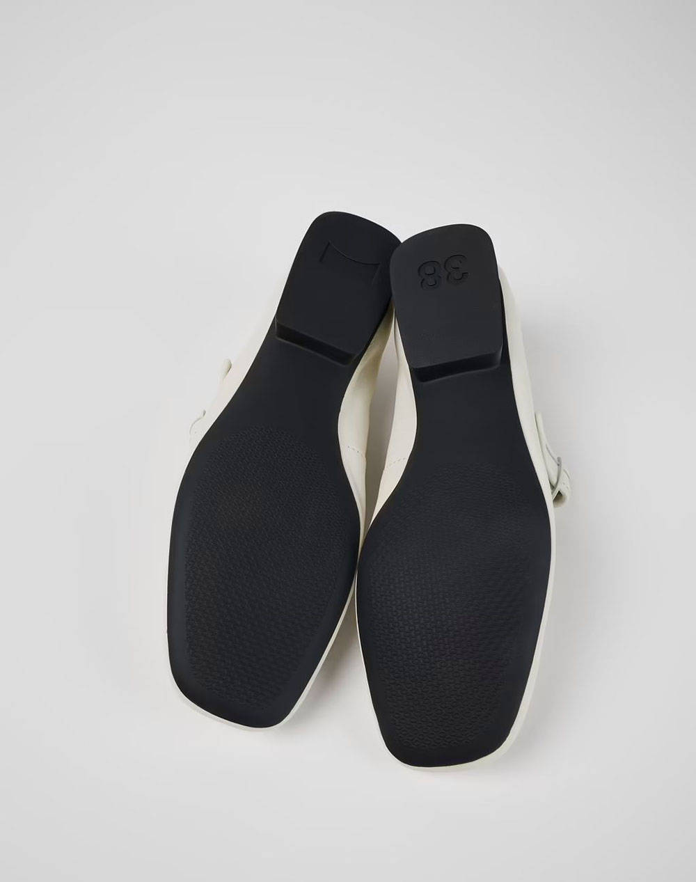 CAMPER Gobi Houston/CasiMyra Ry Negro