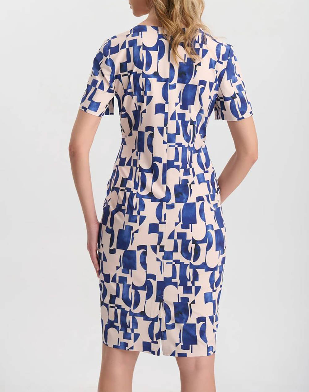 VETO ROCHIE