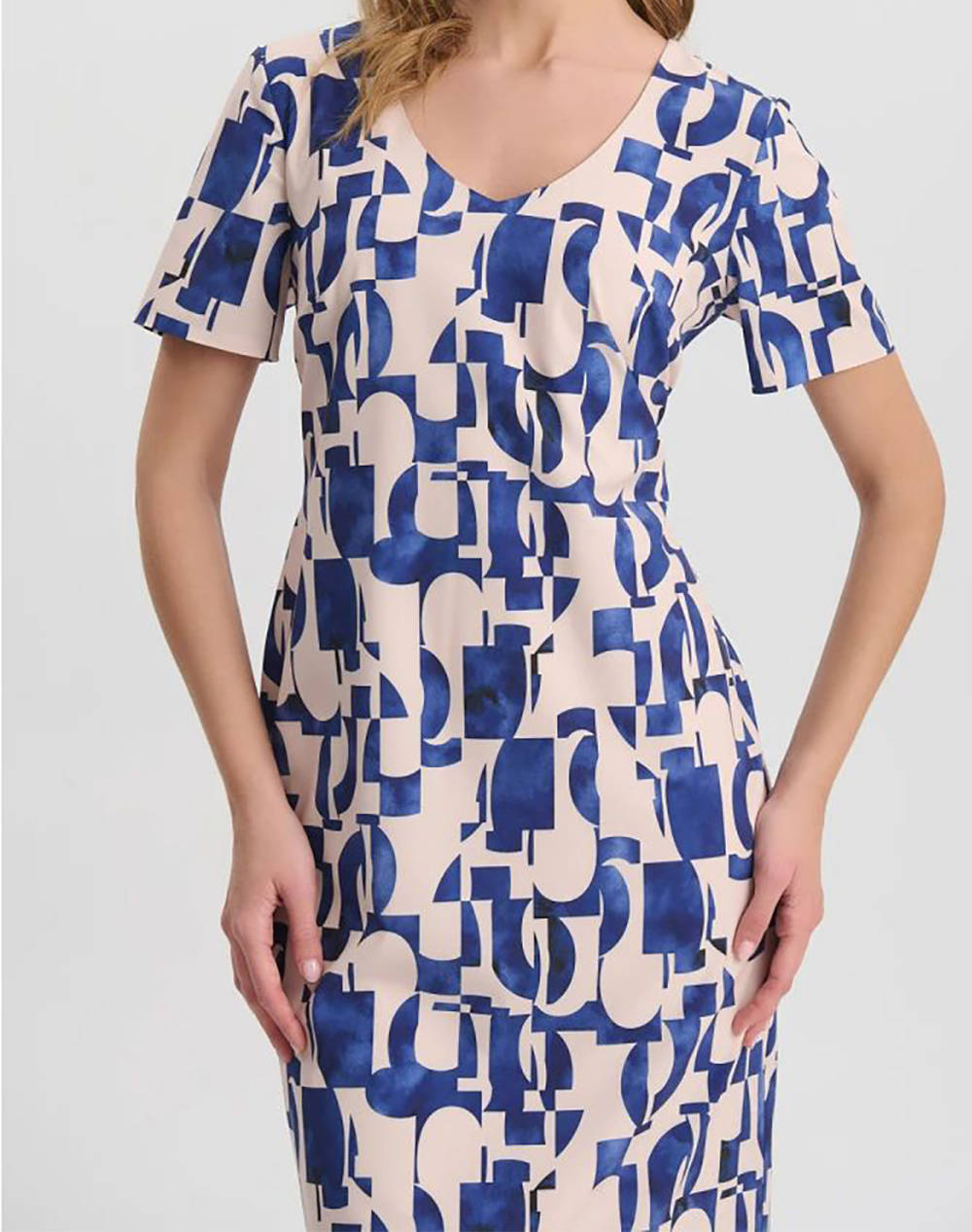 VETO ROCHIE