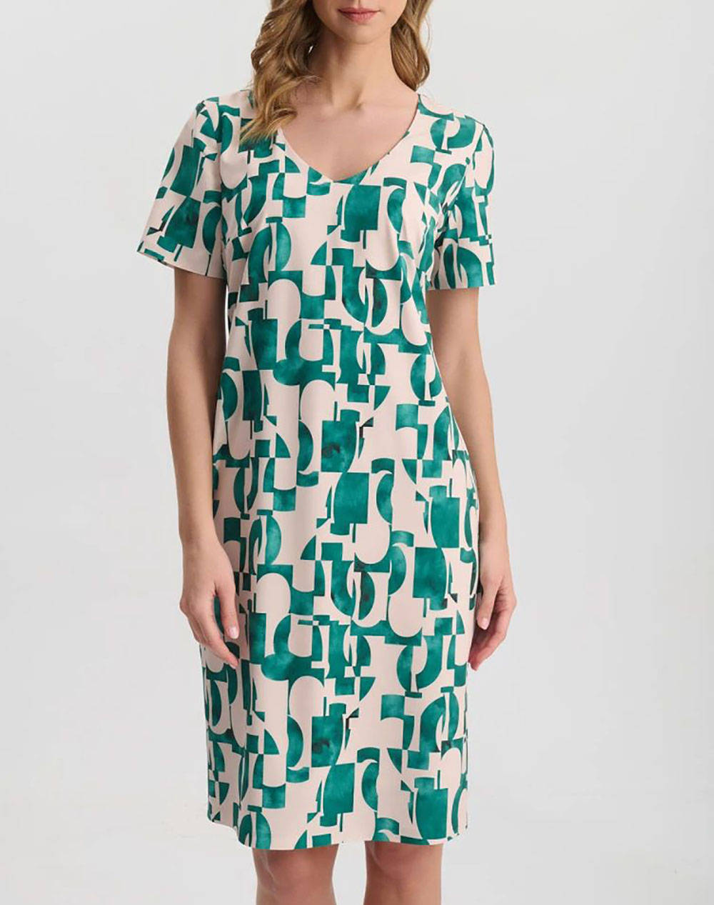 VETO ROCHIE