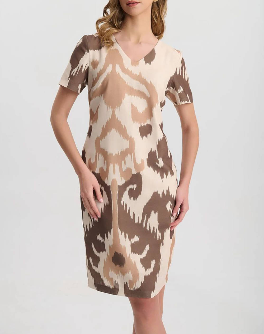VETO ROCHIE