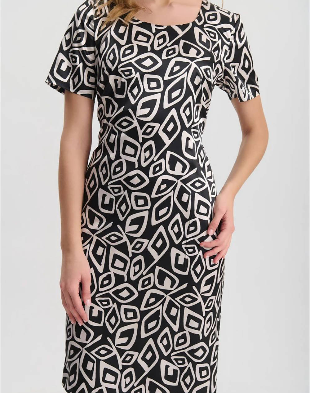 VETO ROCHIE