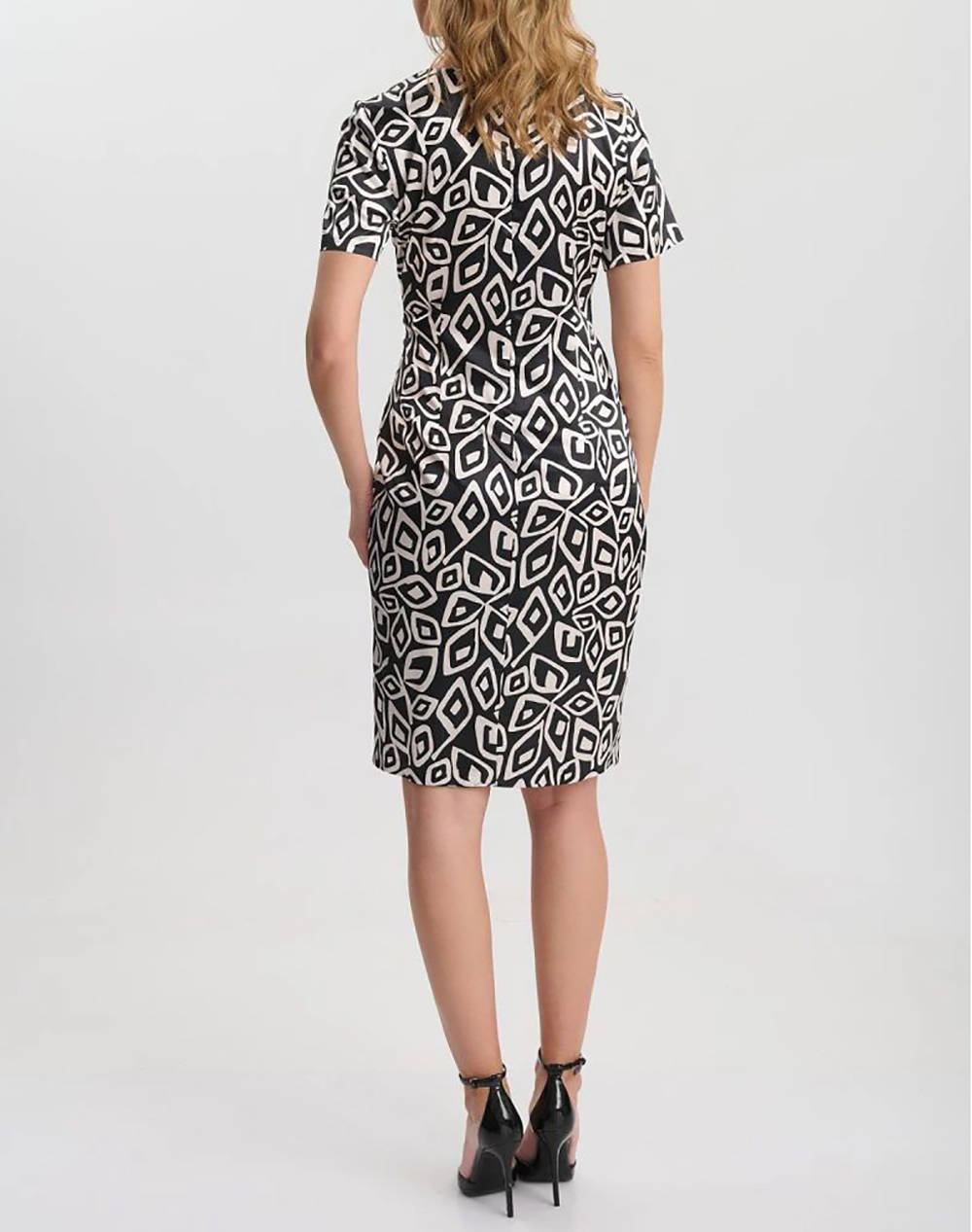 VETO ROCHIE