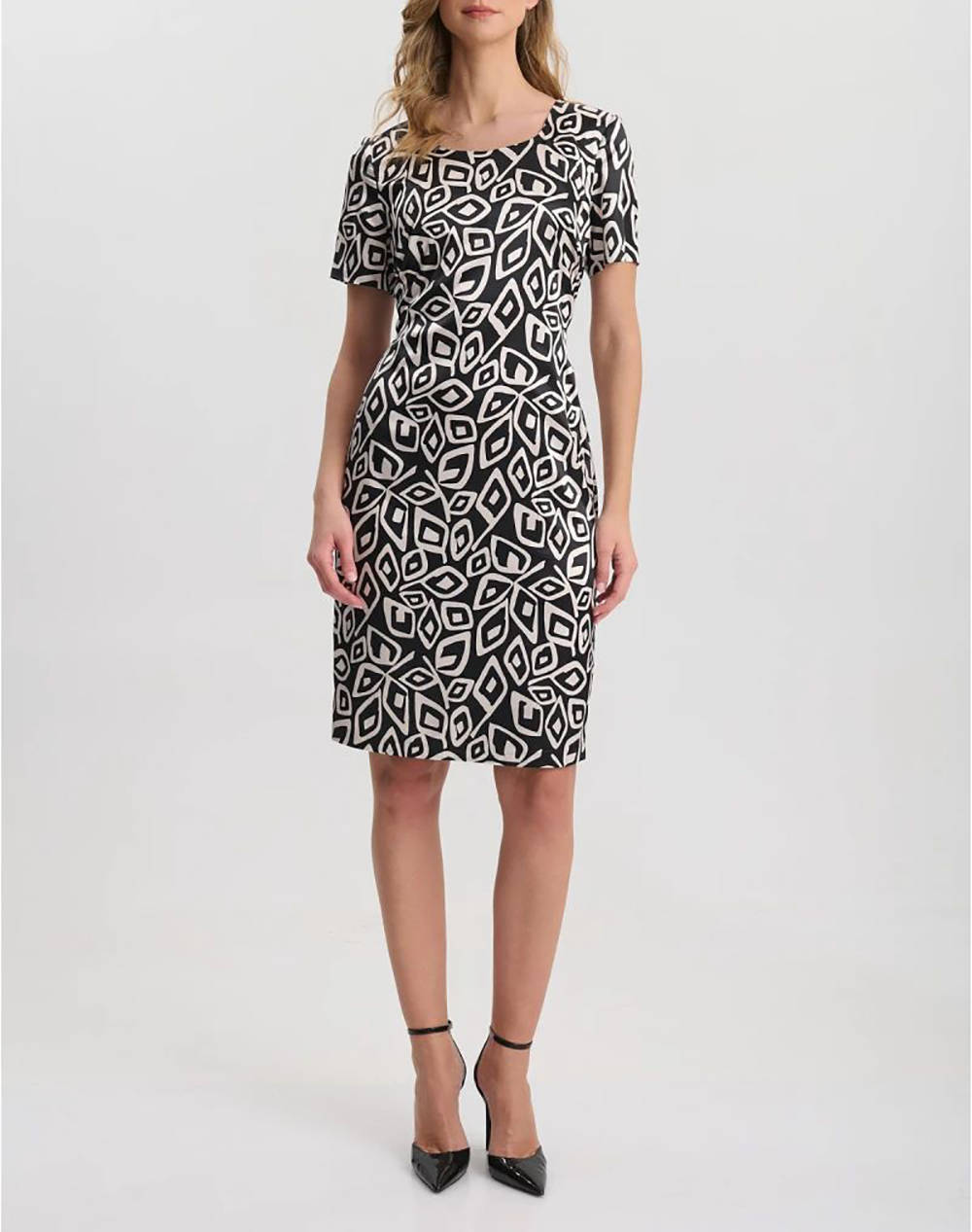 VETO ROCHIE