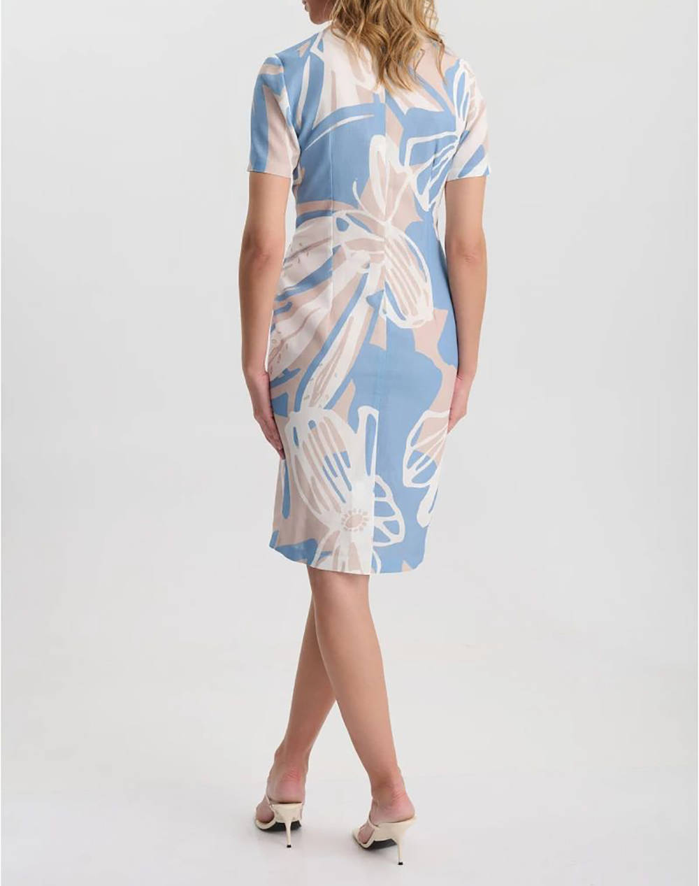 VETO ROCHIE