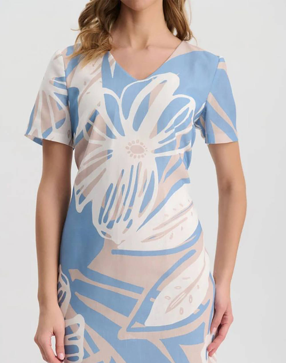 VETO ROCHIE