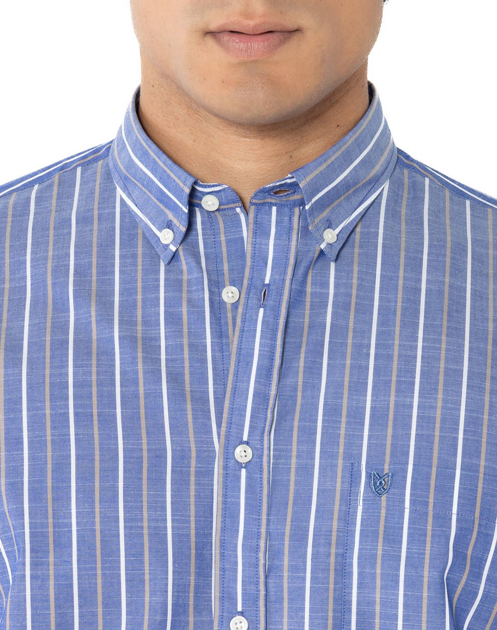 THE BOSTONIANS CAMASA ACORN REGULAR FIT Stripe SLUB Button-down Regular fit