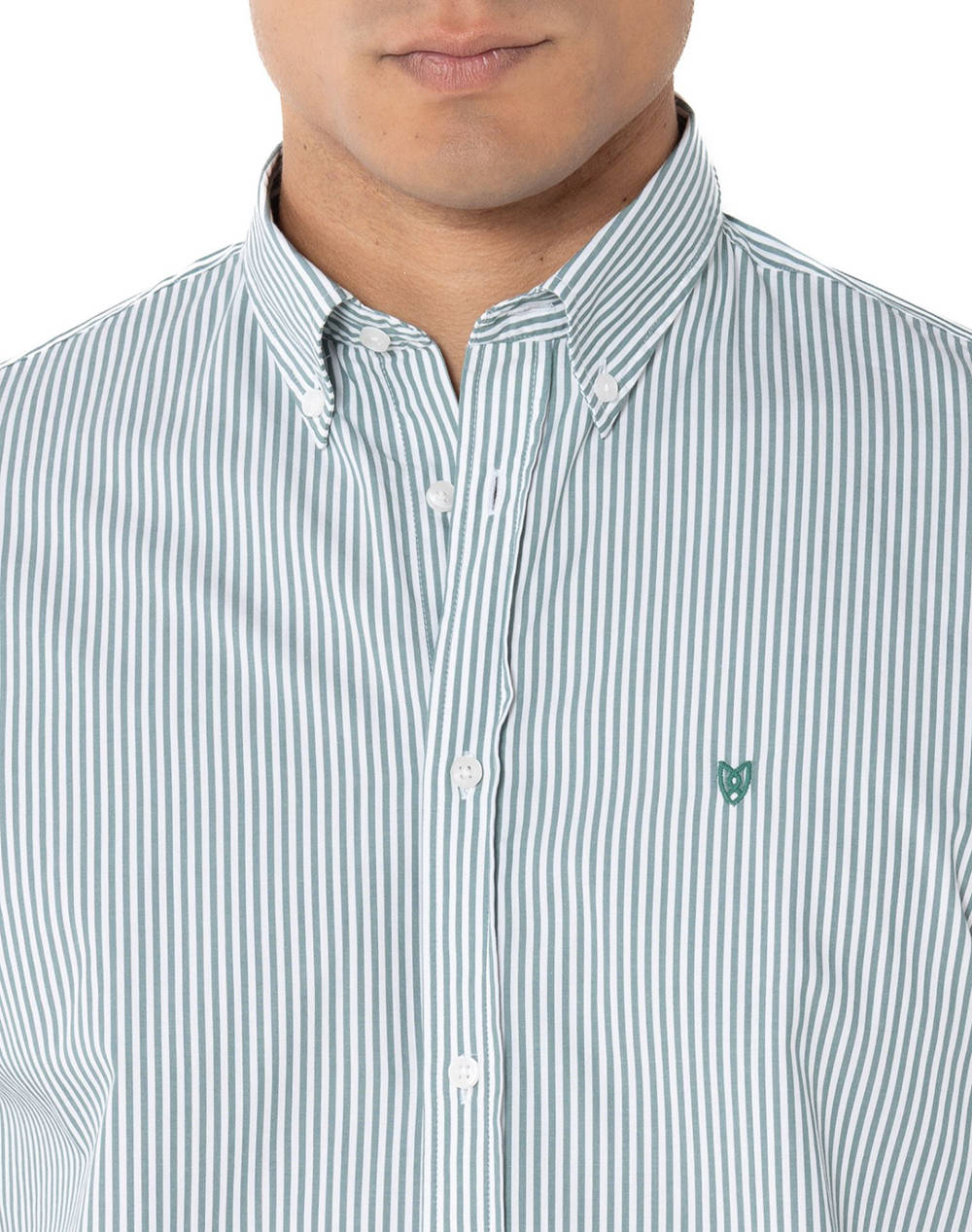 THE BOSTONIANS CAMASA ACORN POPLIN REGULAR FIT Stripe POPLIN Button-down Regular Fit