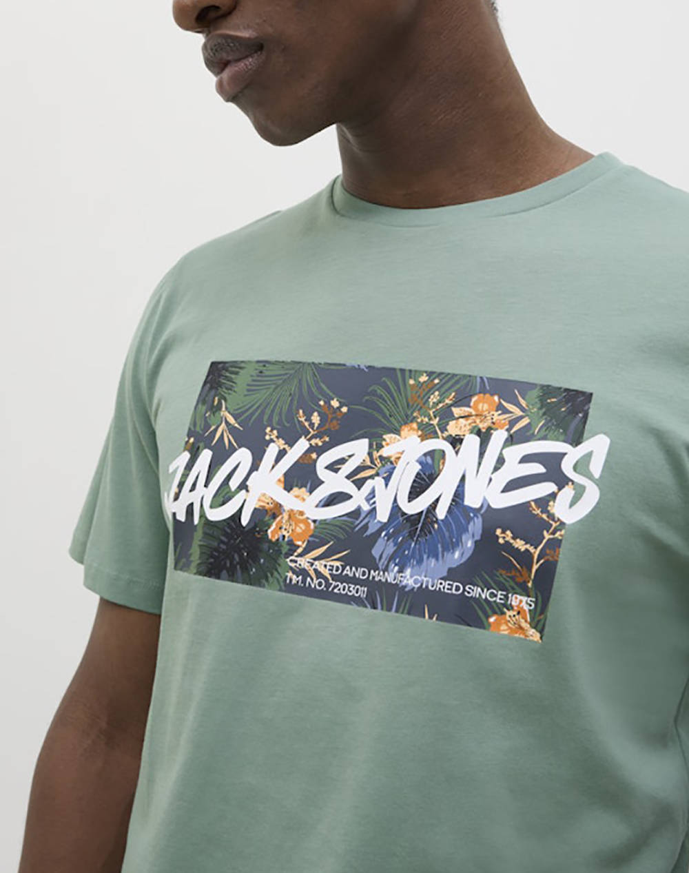 JACK&JONES JJHAWAII SHAPE TEE SS CREW NECK LN