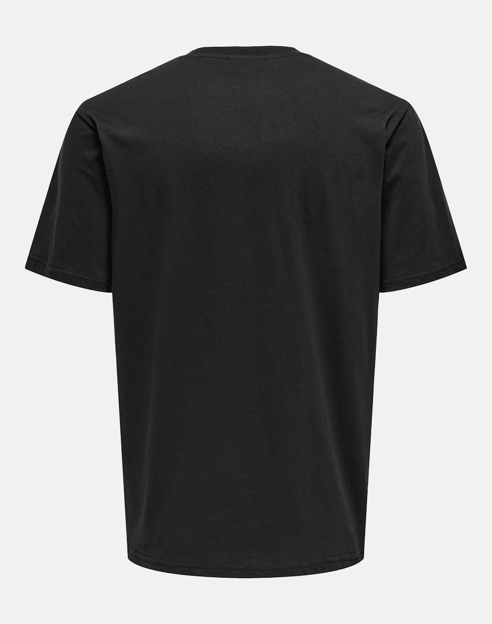 ONLY&SONS ONSDAWSON REG SS TEE VD