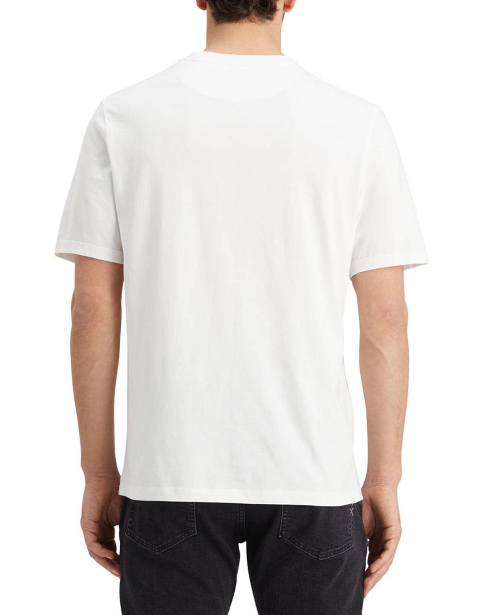 SCOTCH&SODA BLUZA KM