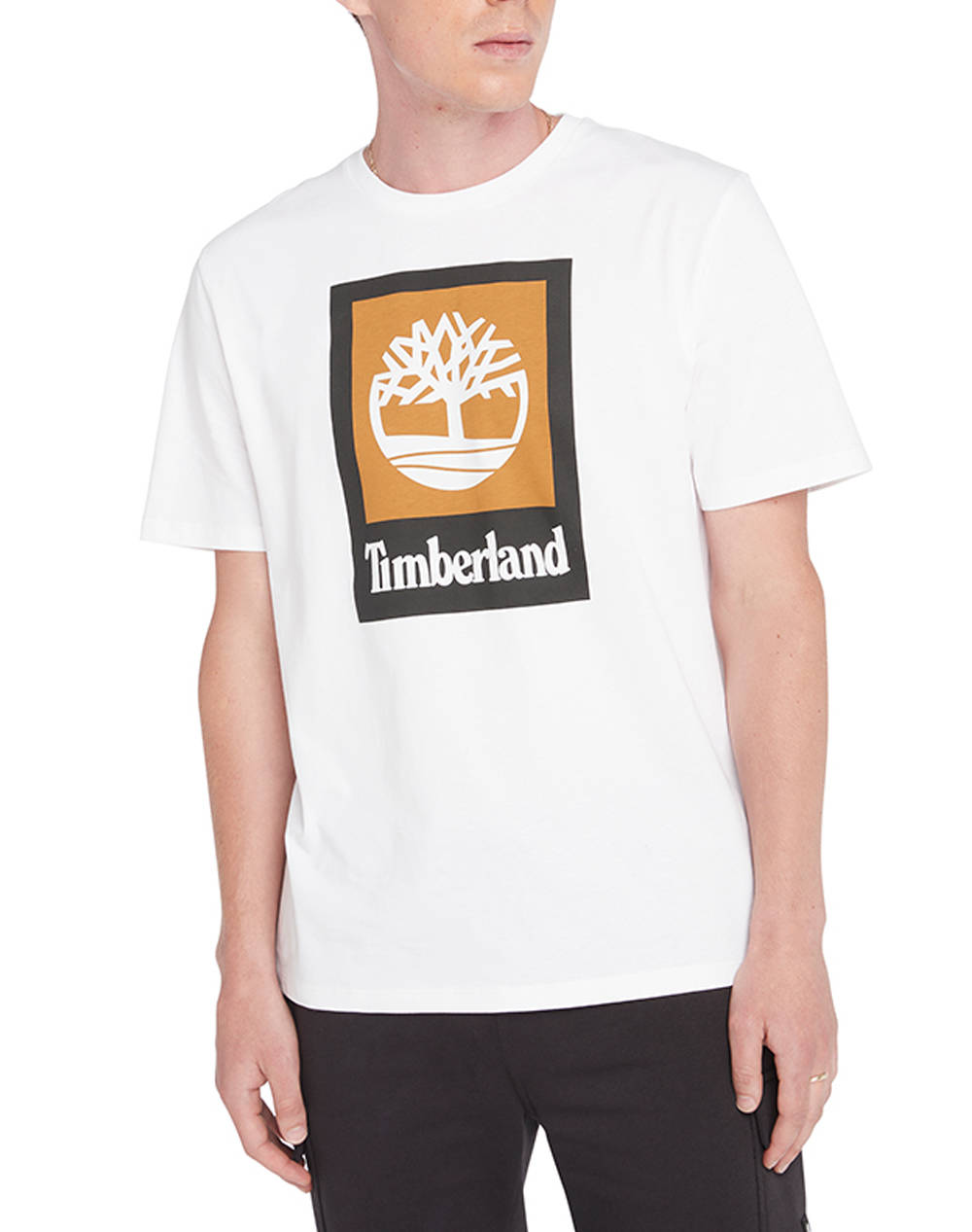 TIMBERLAND Colored Short Sleeve Tee