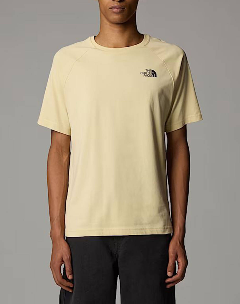 THE NORTH FACE M SS NORTH FACES TEE