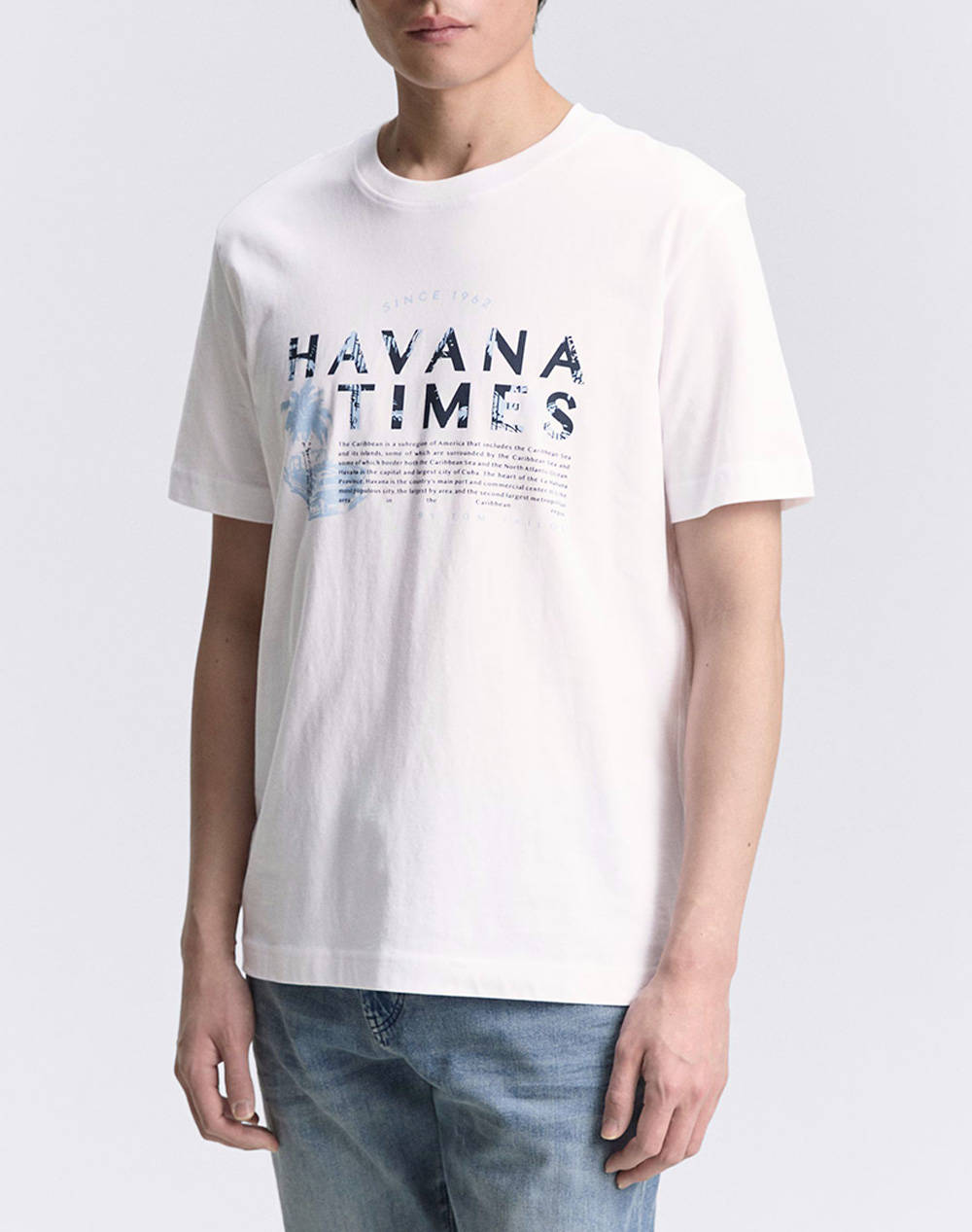 TOM TAILOR PRINTED T-SHIRT BLUZA DE BARBATI