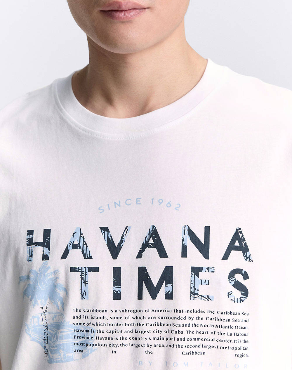 TOM TAILOR PRINTED T-SHIRT BLUZA DE BARBATI