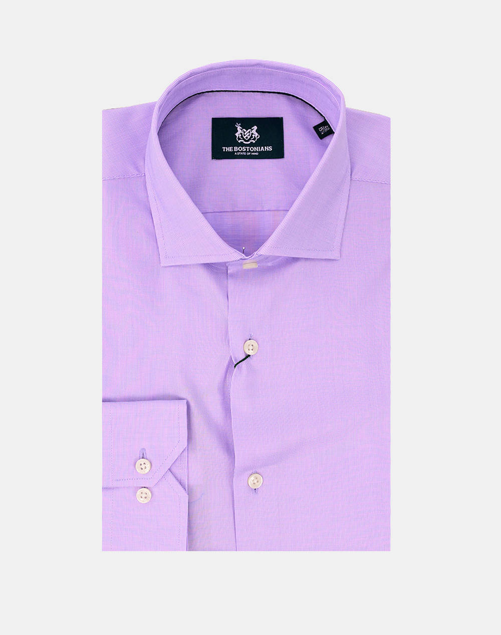 THE BOSTONIANS CAMASA ACORN CUSTOM FIT Stripe POPLIN Semi-rex Custom FIT