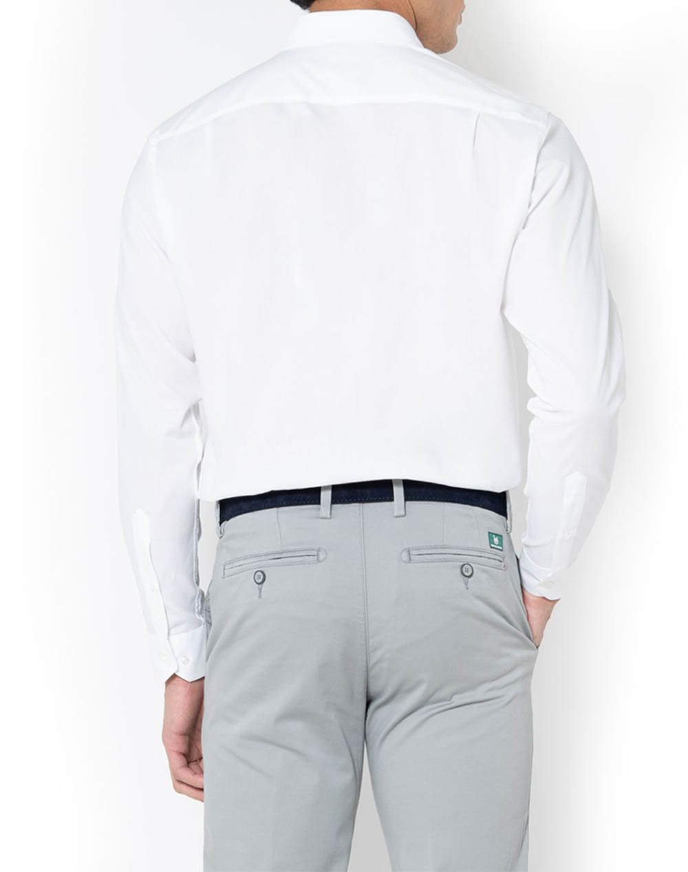 THE BOSTONIANS CAMASA ACORN CUSTOM FIT Stripe POPLIN Semi-rex Custom FIT