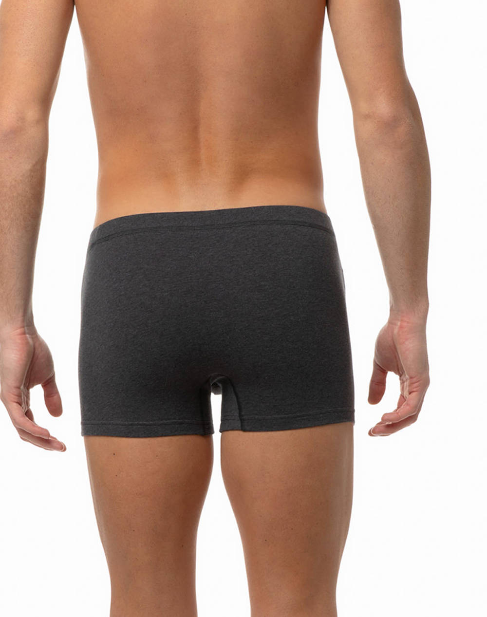 MINERVA BOXER BARB.3BUC.SPORTIES ELAST