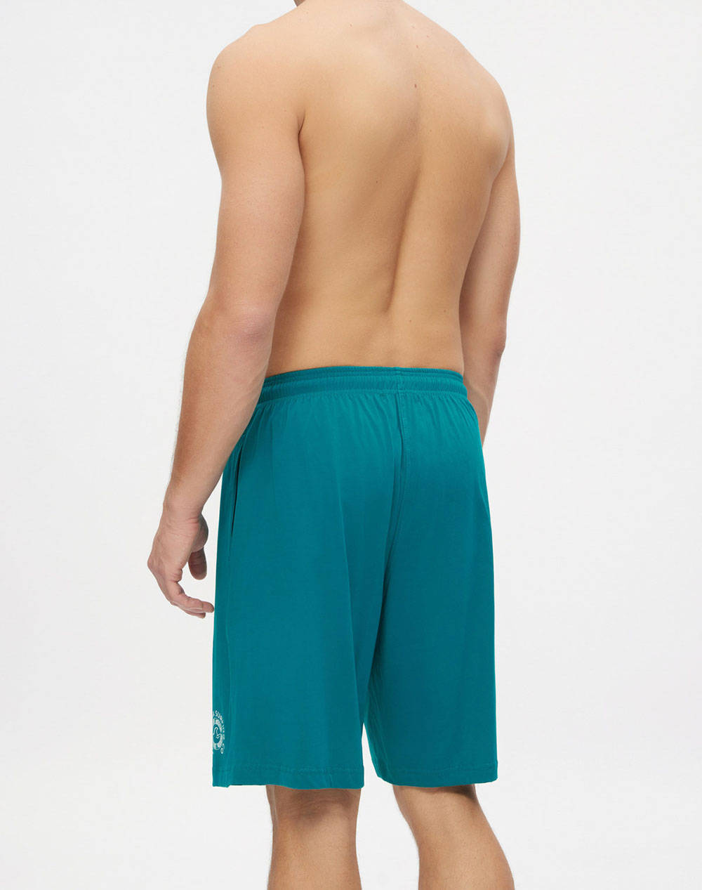 MINERVA PANT. SC. DE BARBATI.S/J PRINTS
