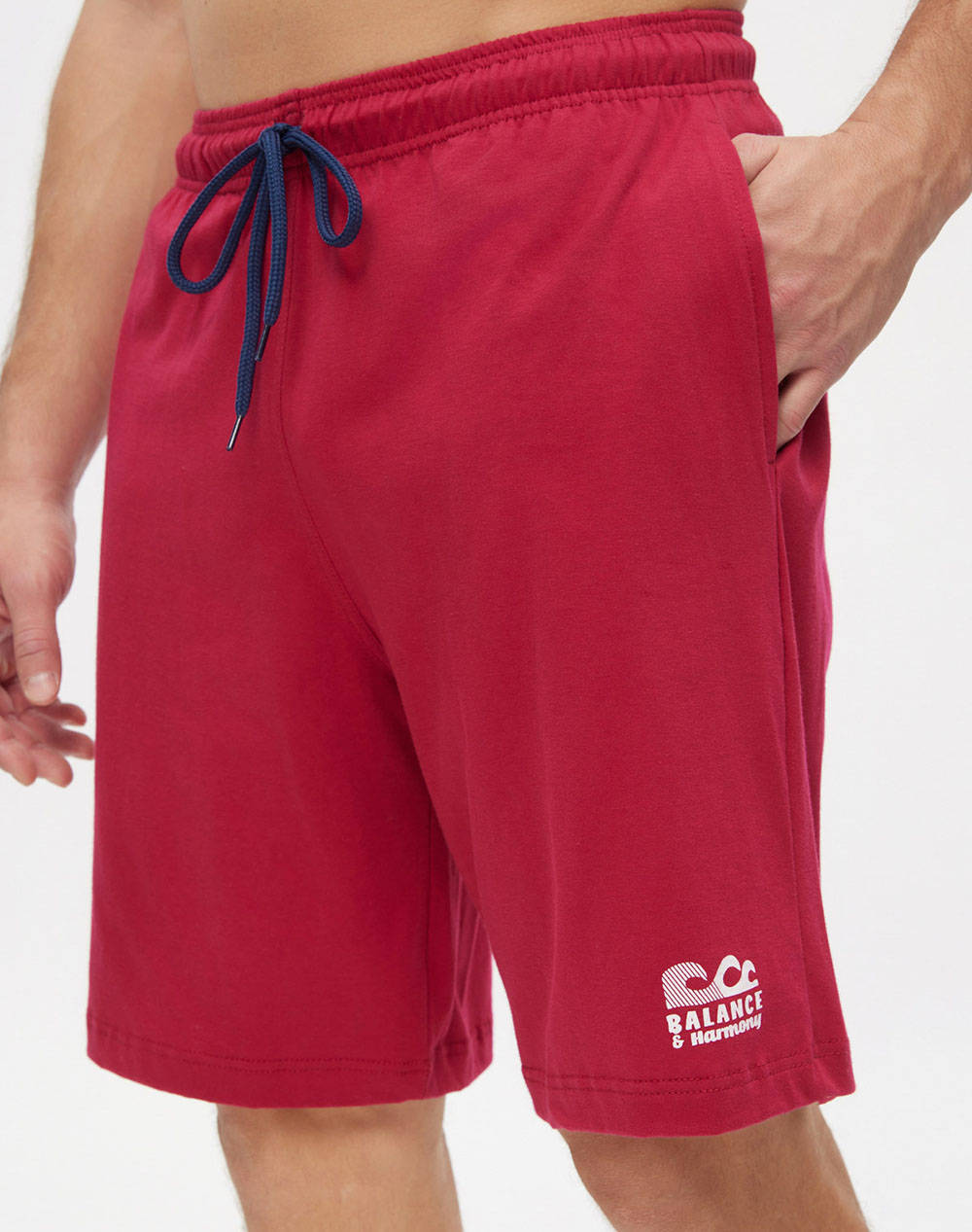 MINERVA PANT. SC. DE BARBATI.S/J PRINTS