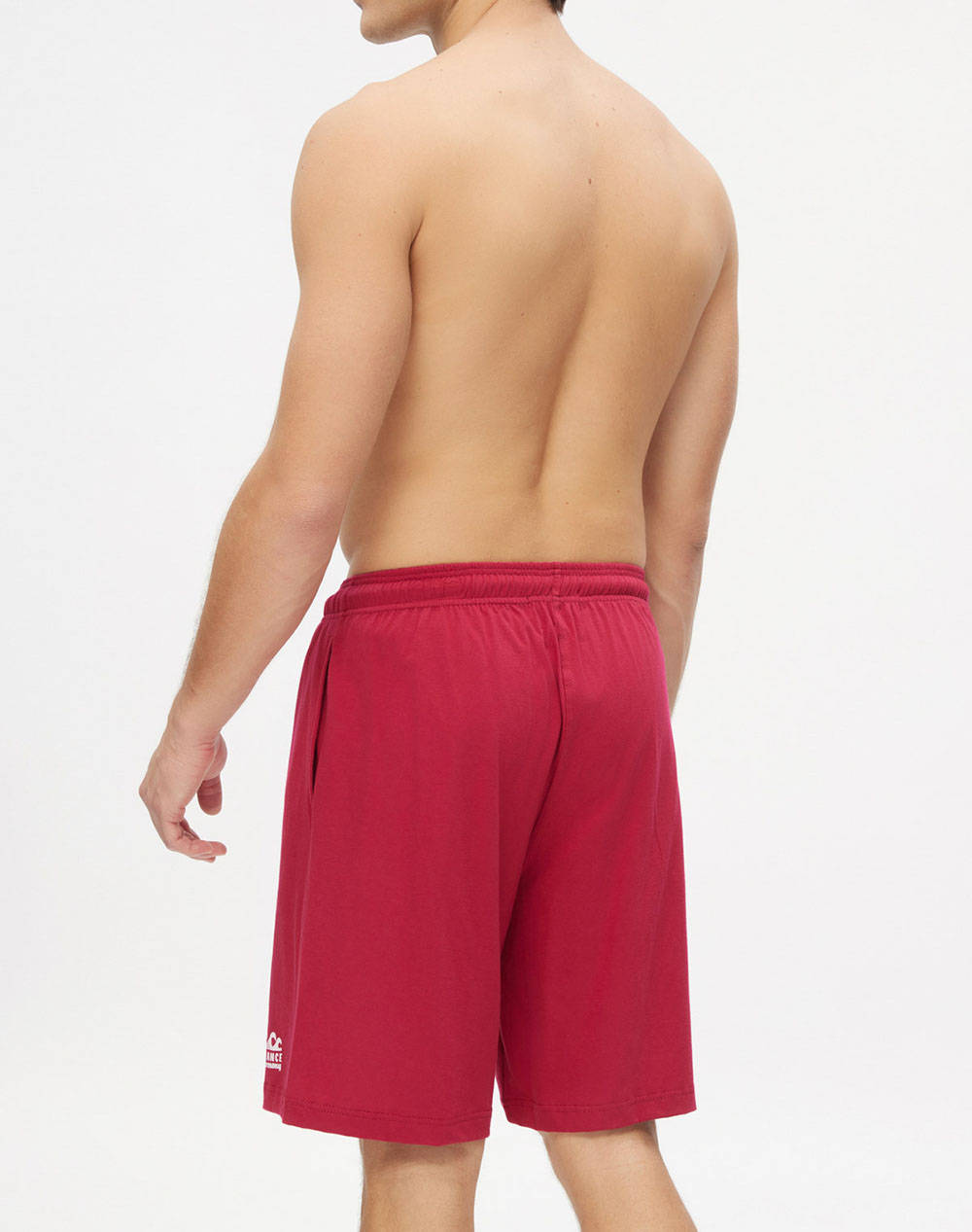 MINERVA PANT. SC. DE BARBATI.S/J PRINTS