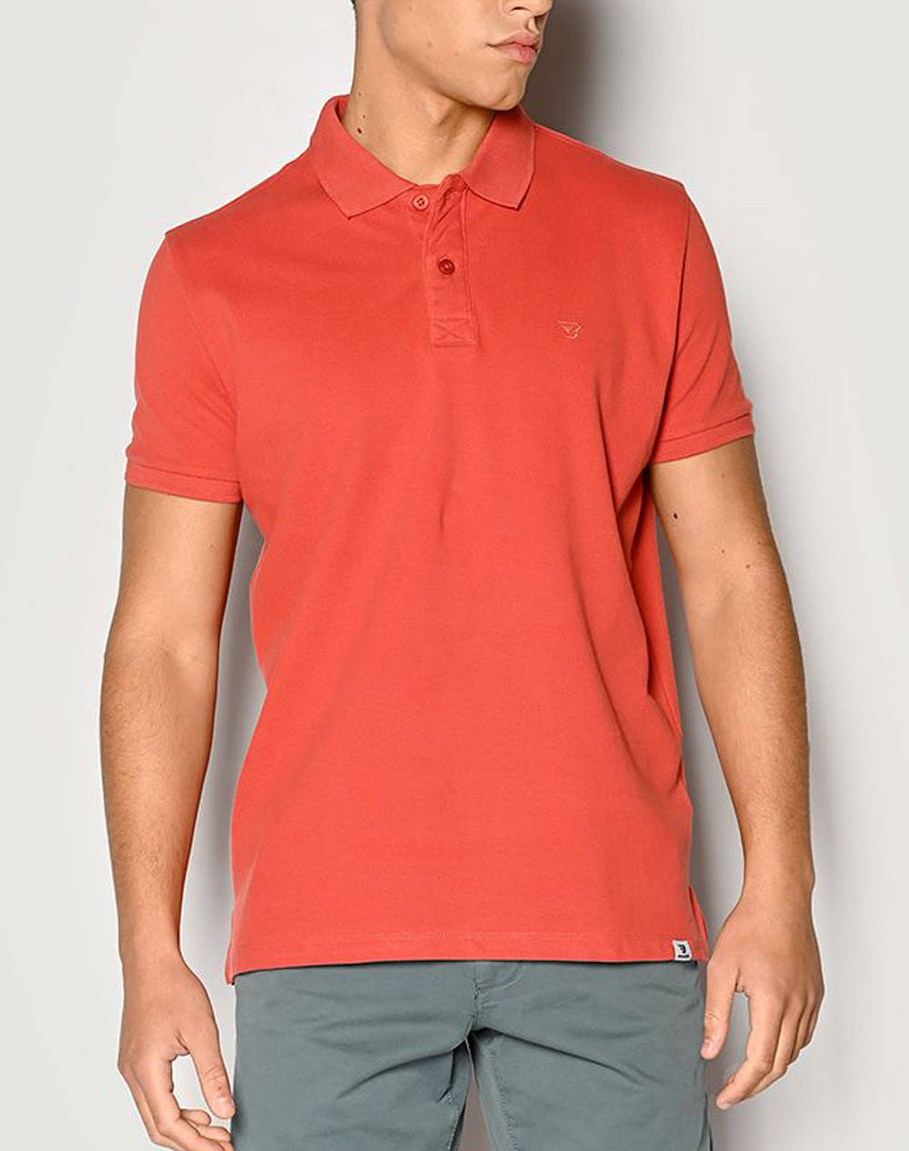 BROKERS POLO DE BARBATI