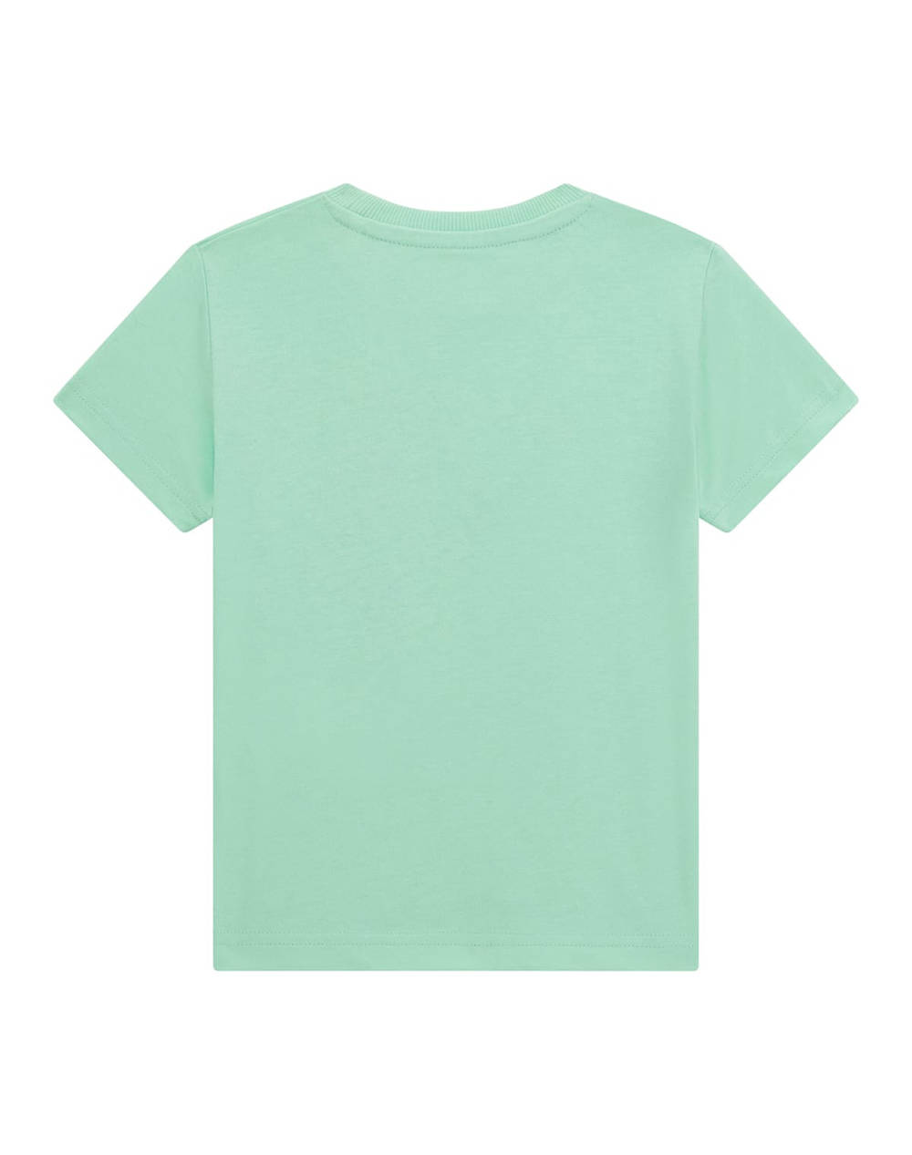 GUESS SS T-SHIRT - MID ORGANIC COTTON 160 BLUZA B