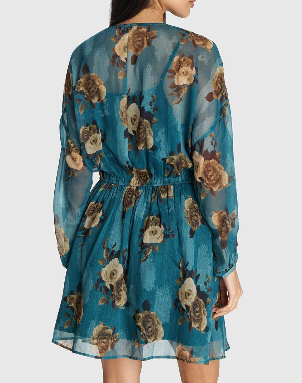 ALE ROCHIE