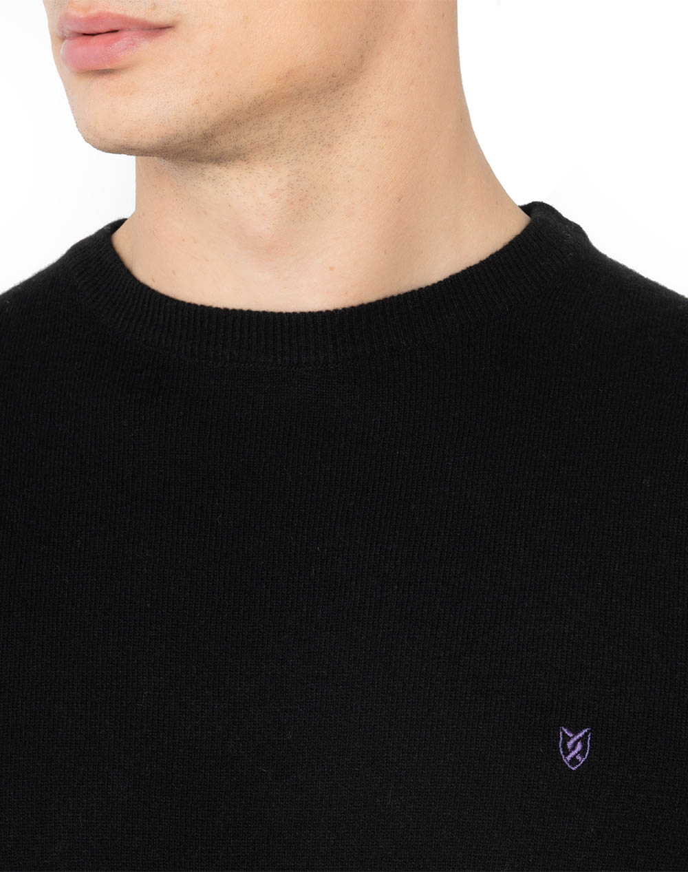 THE BOSTONIANS PULOVER LAMBSWOOL REGULAR FIT