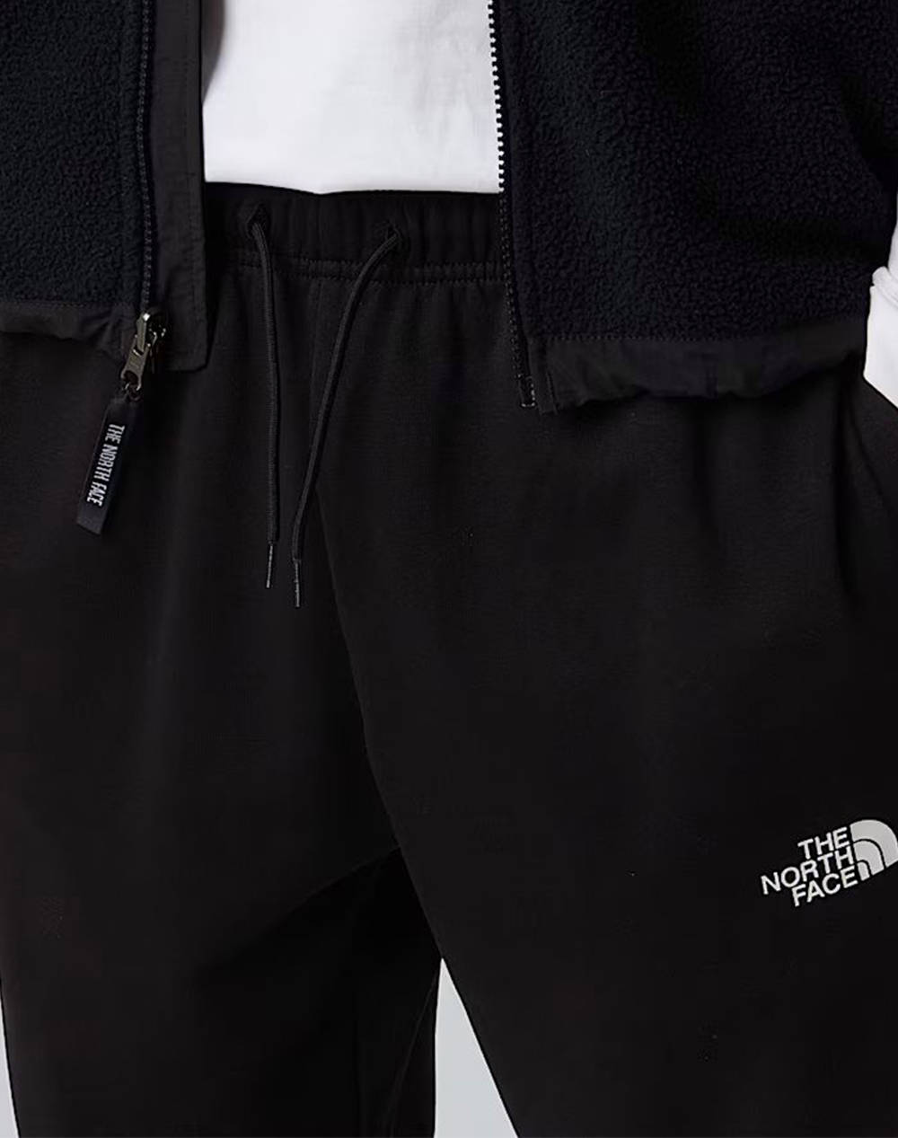 THE NORTH FACE M SD RG TP JOGGER
