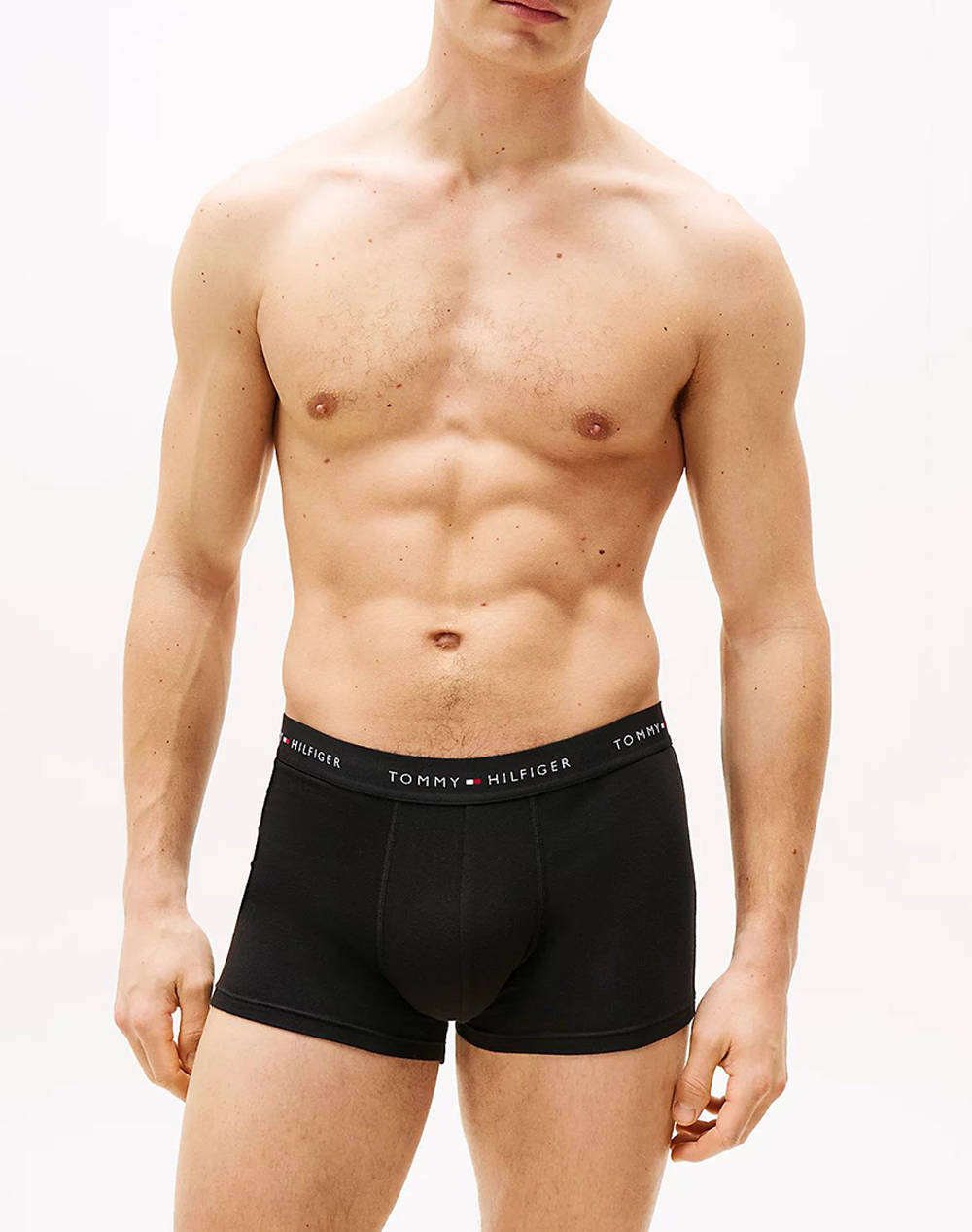 TOMMY HILFIGER 3P WB TRUNK