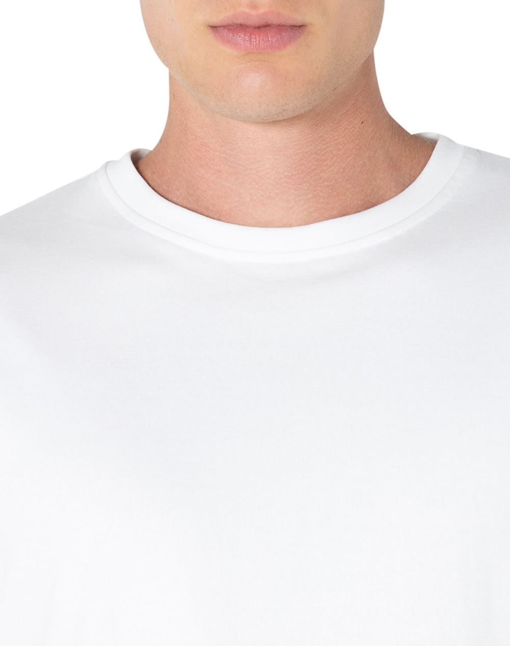 THE BOSTONIANS BLUZA T-SHIRT REGULAR FIT