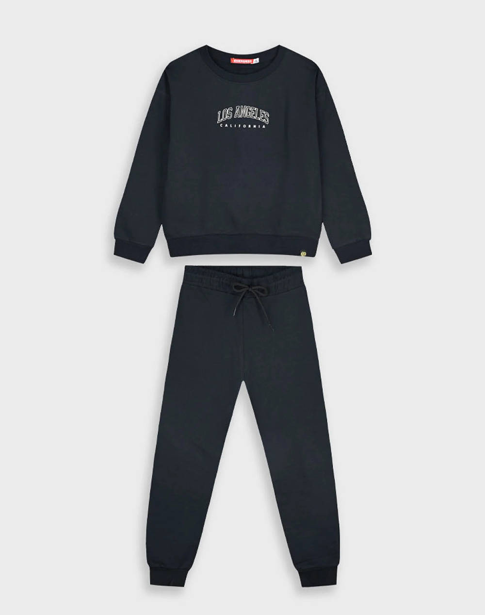 ENERGIERS TRENING(BLUZA,PANTALONI)