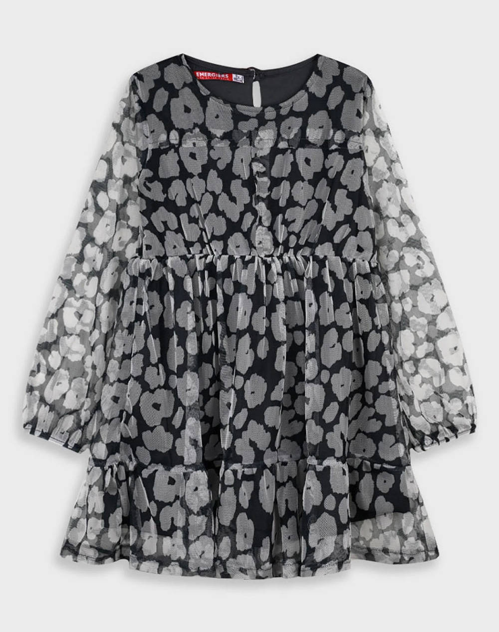 ENERGIERS ROCHIE