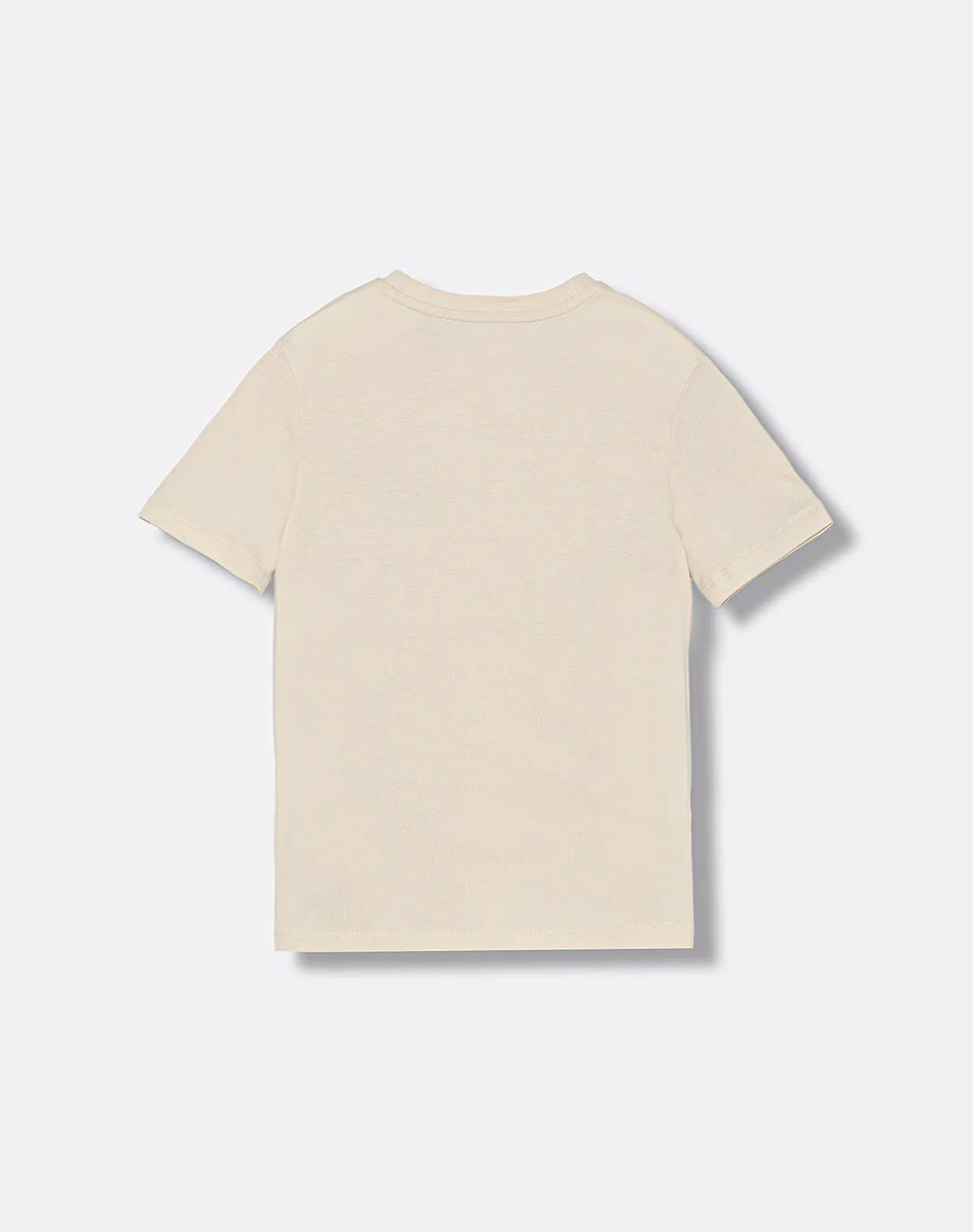 CALVIN KLEIN SEASONAL CK REGULAR TEE