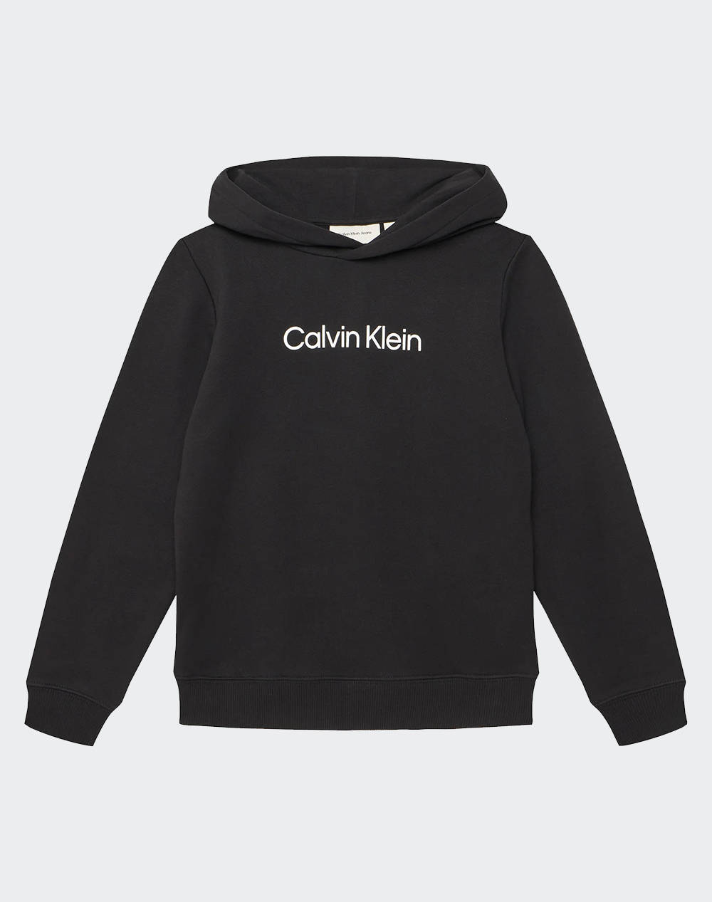 CALVIN KLEIN JEANS INST. LOGO REG. TERRY HOODIE
