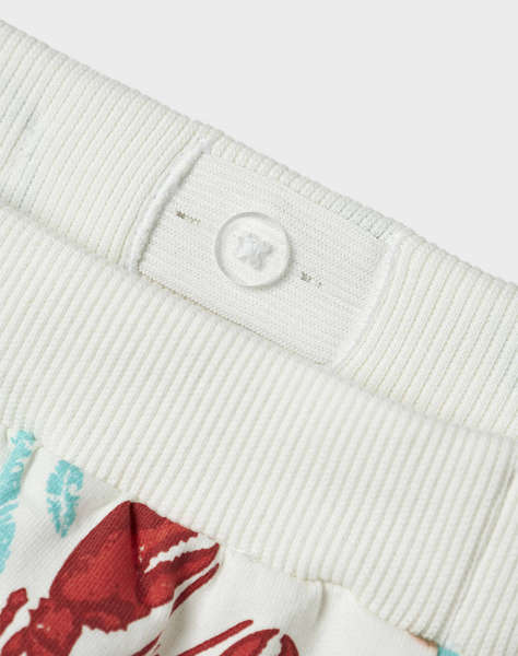 NAME IT NMMFIN NREG SHORTS UNB