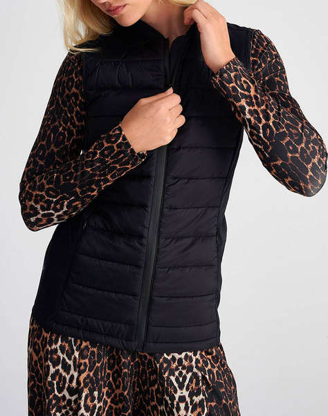 SUGARFREE JACKET