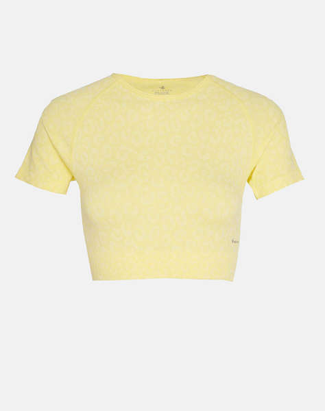 SUGARFREE TOP