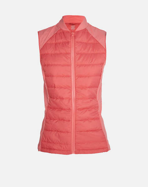 SUGARFREE JACKET